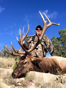 rut rifle elk hunting New Mexico