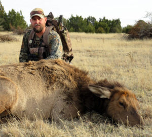 New Mexico cow elk