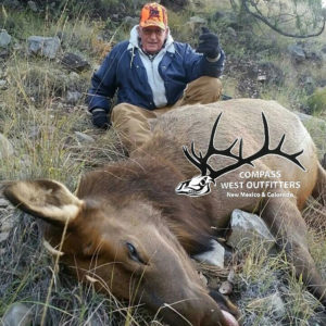 cow elk hunt