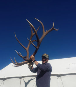 new mexico giant bull