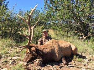 rifle hunting new mexico unit 34