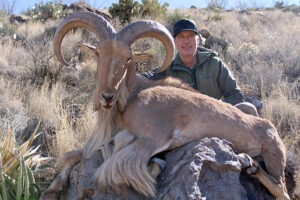 Aoudad-hunting-texas