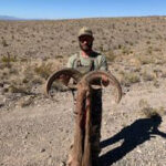 aoudad-in-texas-with-guides