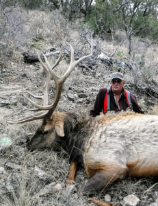 chama-elk-new-mexico-guides