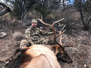 december-guided-elk-in-new-mexico