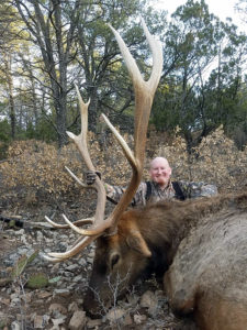 elk-hunting-new-mexico