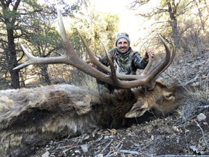 guided-elk-hunting-in-chama-NM