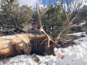 late-season-elk