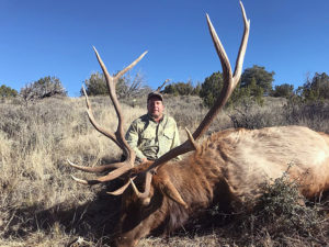 new-mexico-elk