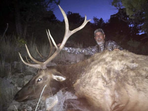 unit-30-new-mexico-elk