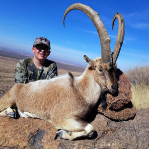 youth-ibex-new-mexico