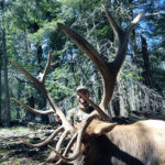 bow-elk-hunting-unit-36