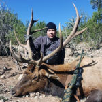 guided-elk-hunting