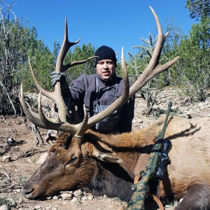 guided-elk-hunting