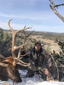 guided-late-season-unit-5B-elk