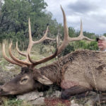rifle-elk-hunting-in-NM-with-compass-west-Outfitters