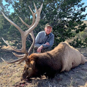 rifle-elk-new-Mexico-1