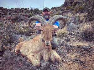 texas-aoudad-hunting