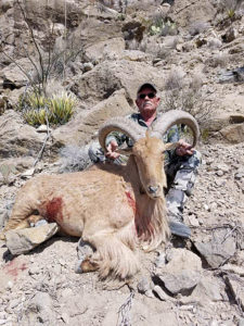 texas-trophy-aoudad-hunting