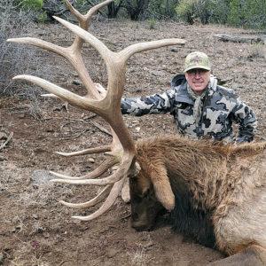 trophy-elk-hunting