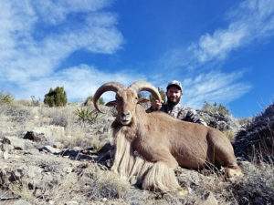 New-Mexico-Aoudad-hunting-unit-29-30