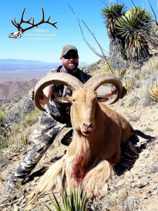 Texas-aoudad-sheep-guides