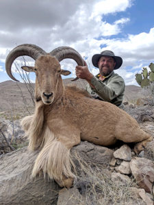 Texas-trophy-aoudad-hunting-2