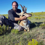 antelope-in-NM-guided
