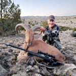 aoudad-hunting-in-Texas