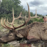 rifle-elk-hunting-in-NM-wit