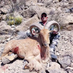texas-trophy-aoudad-hunting