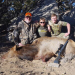 New-Mexico-cow-elk-hunting
