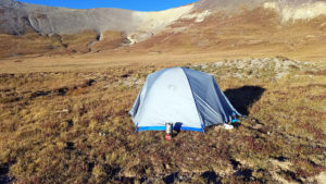 Sheep-camp-Colorado-S21