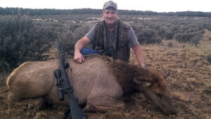 cow-elk-meat-hunt-01