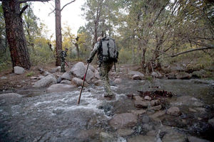 Colorado-elk-hunting-unit-6