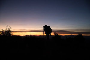 Elk-hunting-guides-unit-30-new-mexico