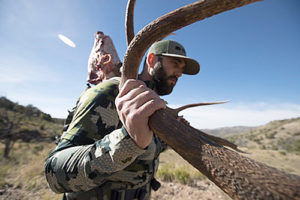 New-Mexico-elk-hunting-guides-unit-34-first-rifle-hunt