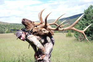 bow-elk-hunting-unit-36-pac