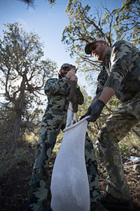 loading-up-a-new-mexico-elk-in-unit-34-rifle-hunt