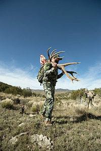 new-mexico-elk