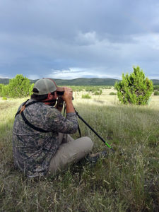 private-land-elk-hunting-new-mexico