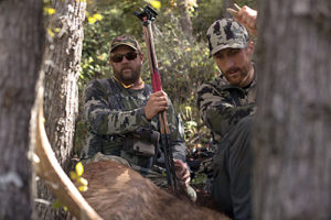 unit-36-new-mexico-elk