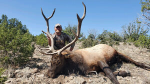 New-Mexico-elk-hunting