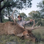 elk-in-new-mexico-with-compass-west-outfitters