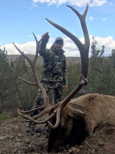elk-in-unit-36-new-mexico