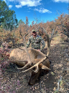 elk-with-a-muzzleloader