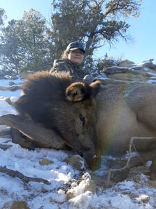 new-mexico-cow-elk-hunting-guides