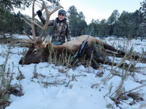 private-land-elk-hunts-in-new-mexico