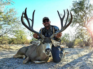 Giant-mule-deer-in-Mexico