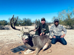 old-mexico-mule-deer